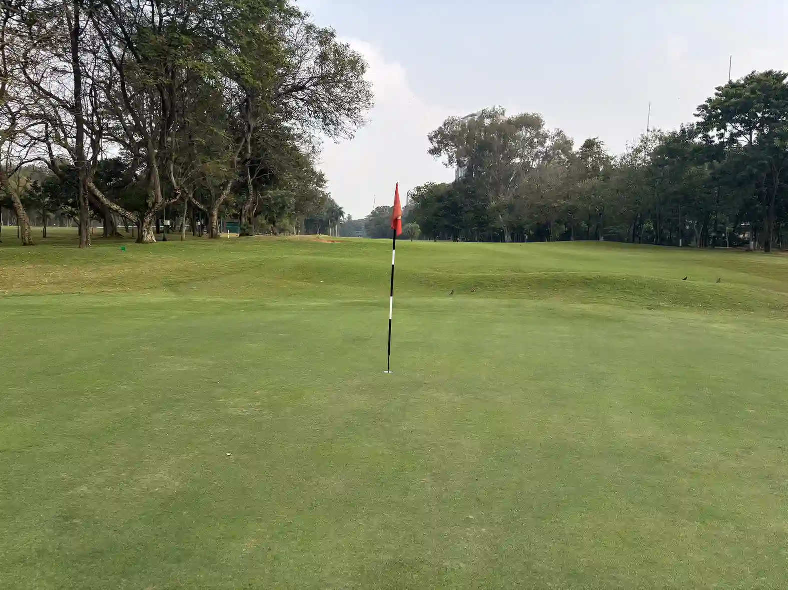 Bengaluru Golf Club