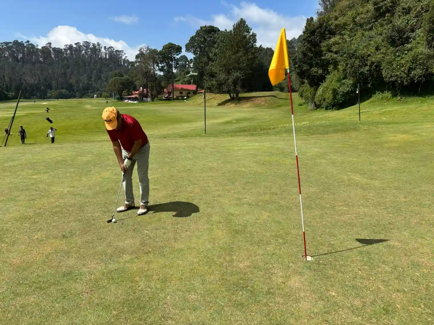 wellington club1_compressed