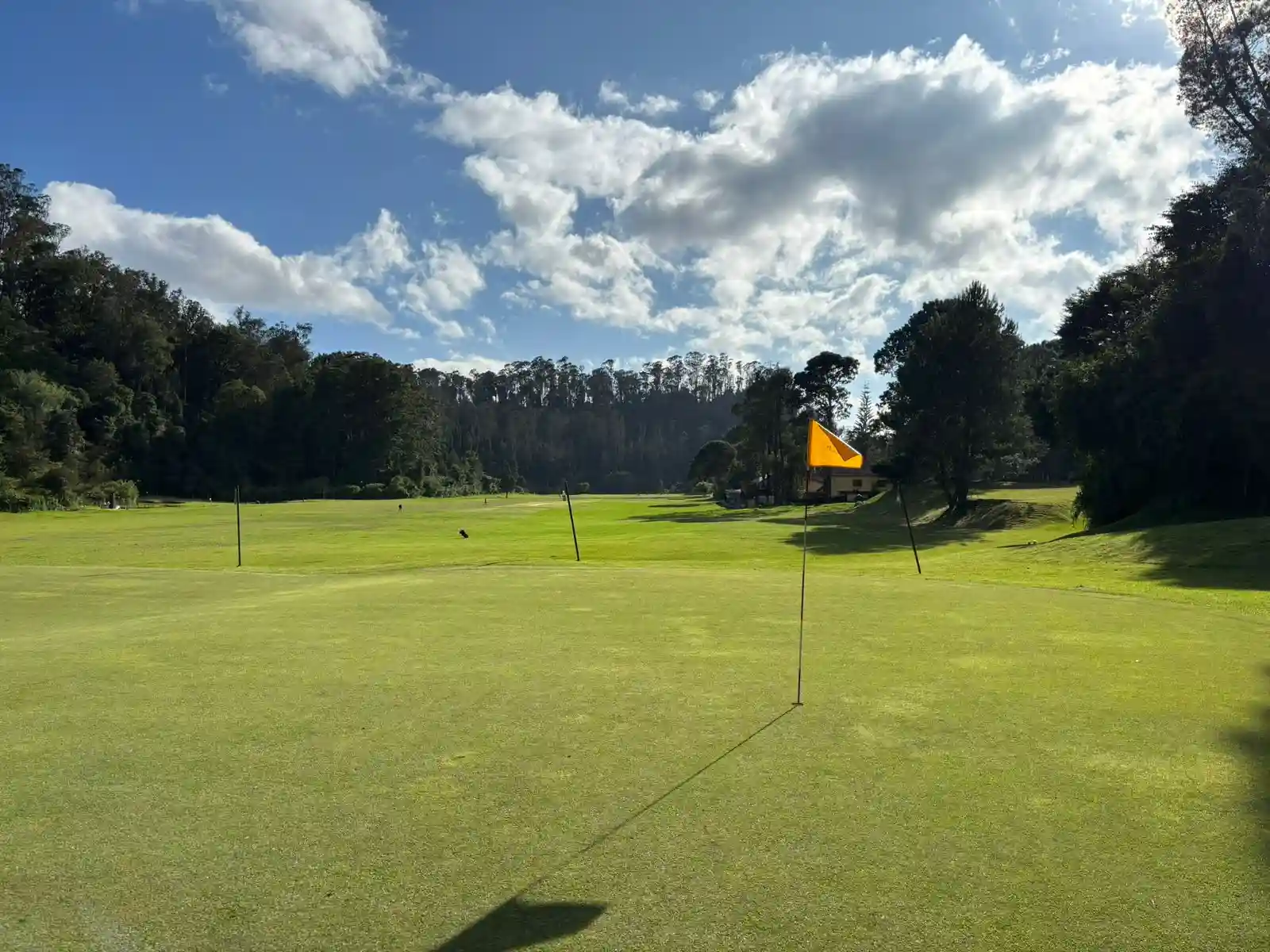 wellington club2_compressed