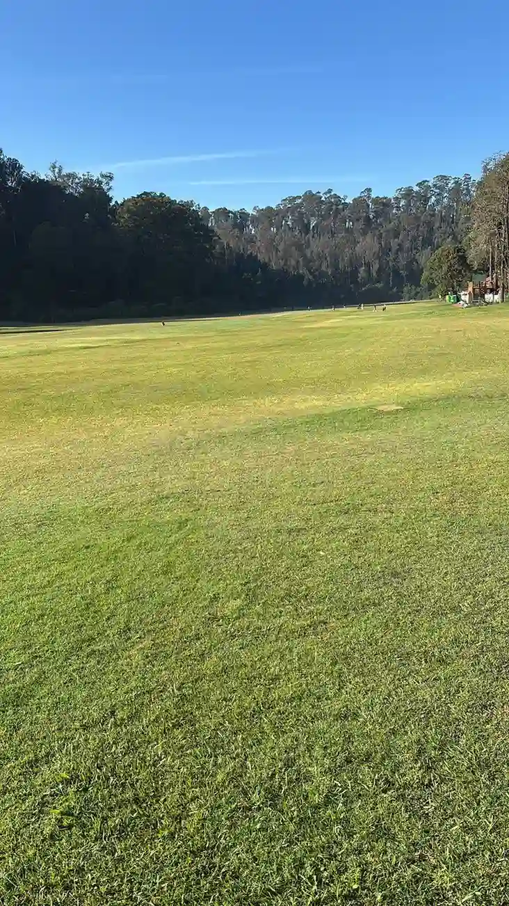 wellington club3_compressed