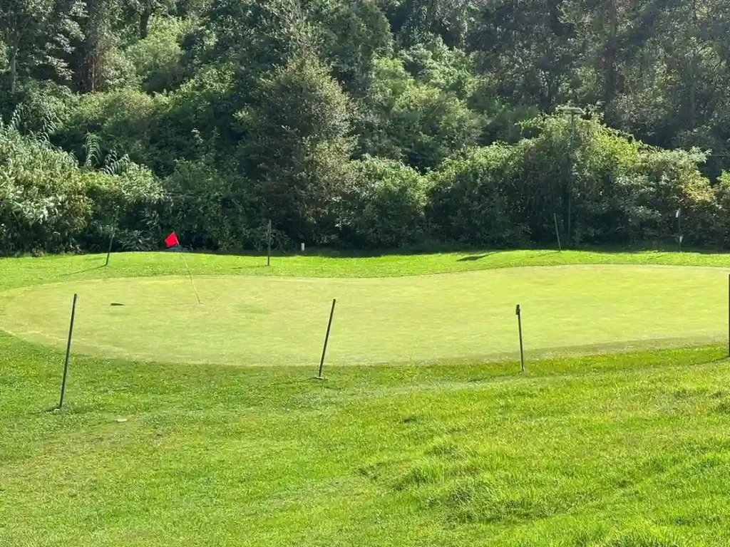 wellington club5_compressed