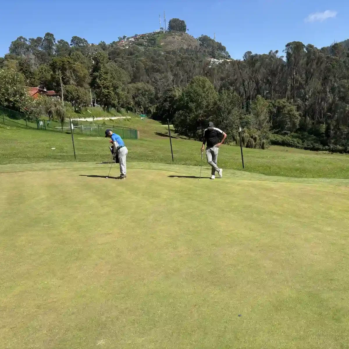 Wellington Gymkhana Club